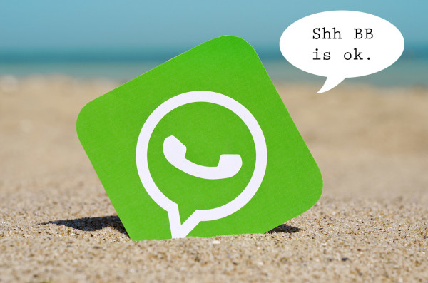 free whatsapp bulk message sender